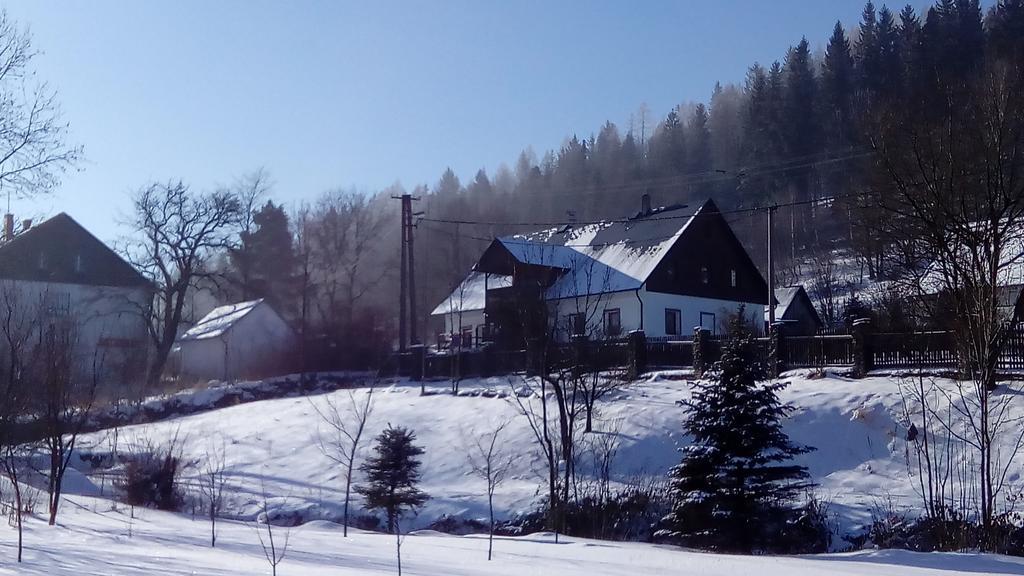 Penzion Edelštejn Petrovice  Exterior foto