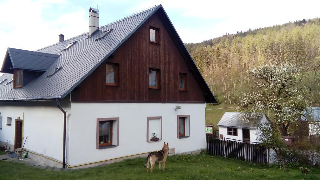 Penzion Edelštejn Petrovice  Exterior foto