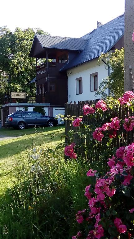 Penzion Edelštejn Petrovice  Exterior foto