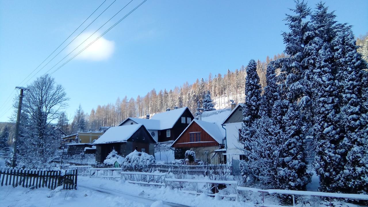 Penzion Edelštejn Petrovice  Exterior foto