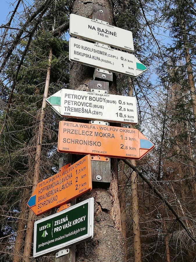 Penzion Edelštejn Petrovice  Exterior foto